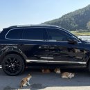 송천휴게소화장실 이미지