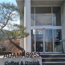 ADAMAS(아다마스)253 이미지