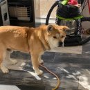 북면스테이 이미지