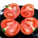 토마토 이미지