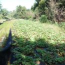 자개2리 마을회관 이미지