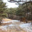 대구복명초등학교 이미지