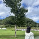 빈대떡 패밀리 | 평창 1박2일 여행 후기 휘닉스 파크 스카이 스위트 패밀리룸 / 조식 / 곤돌라 / 루지 후기