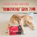 멍블리 | 강아지 저지방 간식, 수분 보충까지 챙긴 멍블리타임 급여 기록