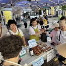 월드브릿지 이미지