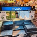 인천국제공항 관광안내소(2터미널) | 나리타 국제공항 1터미널 면세점 쇼핑 구경거리