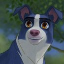 위대한견생 이미지