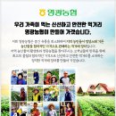 영광신선굴비유통 이미지