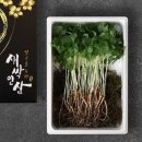 빛고을농장 이미지