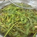 신목사골칼국수 이미지