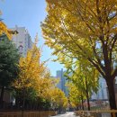 만덕대로 290번길 | [부산 만덕] 만덕 맛집 "고천" 바삭한 일식 돈까스가 가성비!