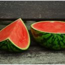 장미빛인생 이미지