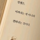펀지님 방그르르 이미지
