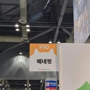 나나비펫 | 궁팡 일산 참가업체로 갔다가 돈 더쓰고 온 후기 낋여왓심다~