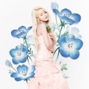 솔라 이미지