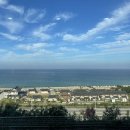 논골목장 2 | 동해 삼척 여행 1 (묵호항 수산시장.논골담길.어향.고불개해변.동해제빵소.BTS 맹방해변.갈남항)