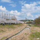 탄동천2 이미지