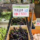 원일면식