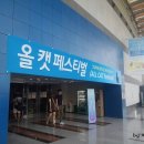2014 올캣페스티벌 후기