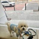 보타닉동물병원 이미지