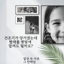 빨래민족 네이버블로그