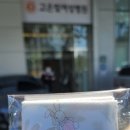 벨라맘스