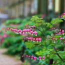 5월 6일 화요일 부김방 출석부 이미지