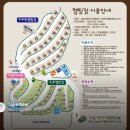 경상남도 사과이용연구소 | 캠핑로그[7] 더숨포레스트 F4사이트 2박3일 후기
