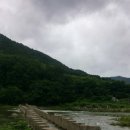 천도리양지마을 Daum카페