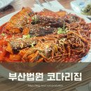 미스코다리 이미지