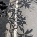 11545-11-77-03 | [ 인도네시아🇮🇩 ] 발리 스미냑&amp;꾸따 | 혼자 여행 일정 코스 맛집 구경 쇼핑