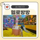 헬로동물병원 | 중랑구 실내놀이터 헬로방방 상봉점 후기 🧸 보호자도 쉴 수 있는 키즈카페