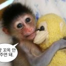 슈가링 앤 미 왁싱