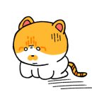 고양이무마취미용 냥지곤지 이미지