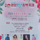 광양동백축제추진위원회 이미지