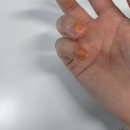 성진유통 | 청주의 돈키호테 생활용품 잡화점 억대유통 방문 후기