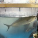 GR(대구광역시 달성군)-[대암내길]-상-2 | 대구 달서구 대방어맛집 황제수산 내돈내산 후기 어제 다녀왔어요