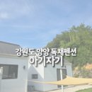 독채펜션 아기자기 | 강원도 가족 여행 숙소로 최고! 아기자기 독채펜션 후기
