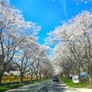 백양사 | 장성 백양사 후기 광주 근교 산책 힐링 템플스테이 정보까지