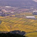 원공인중개사사무소 이미지