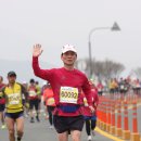 제13회 밀양아리랑마라톤 대회 이미지