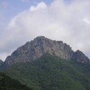 용초마을 이미지