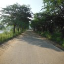 장군마을길 이미지