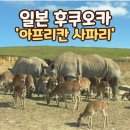 허그도그 | 벳부 아프리칸 사파리 찐후기｜입장료 정보, 렌트카 관람후기, 정글버스 먹이주기 등 총정