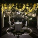 백조카써비스 이미지