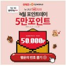 바이오쥬얼리 이미지