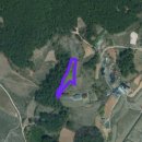 곰솔부동산공인중개사사무소 이미지