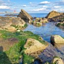 주문5리 이미지