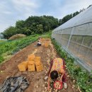 현정이네 농장 이미지