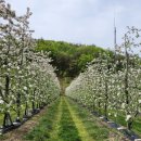 인선농장 이미지